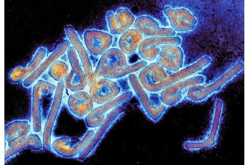 Sorry! Image not available at this time